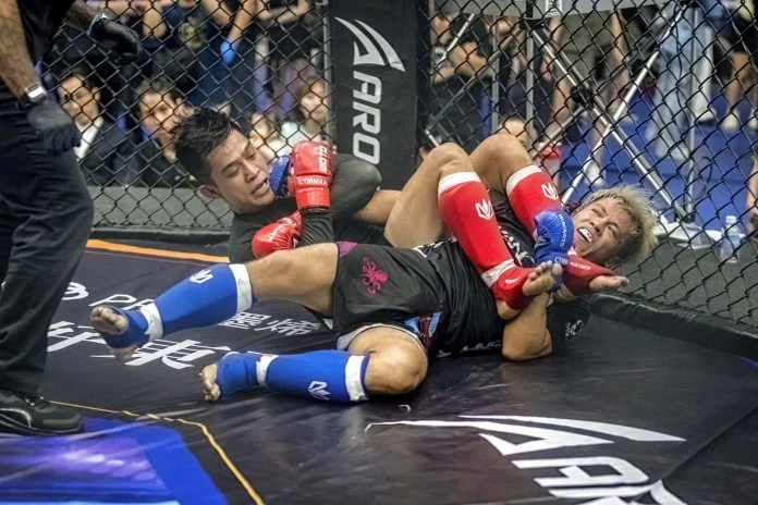 國家訓練中心治療師執業爭議:合法性與國手權益探討