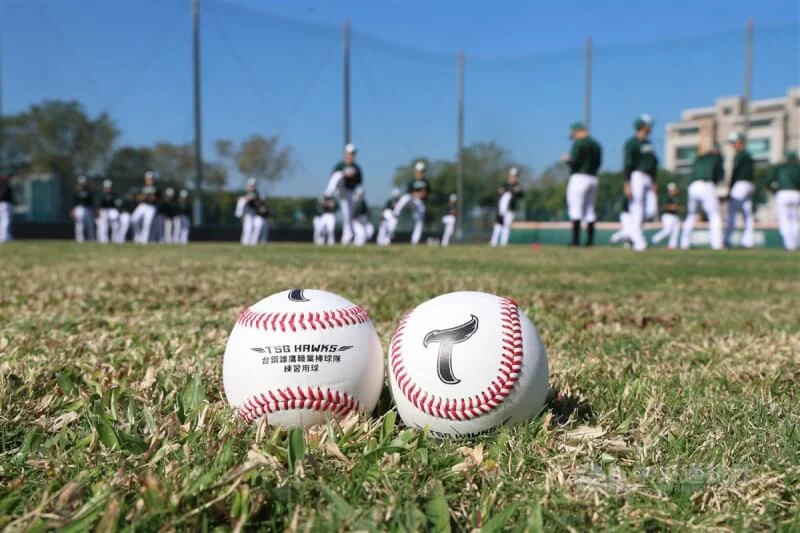 中職台鋼雄鷹戰力告急!張肇元韌帶重建手術宣告賽季報銷,捕手陣容面臨嚴峻考驗