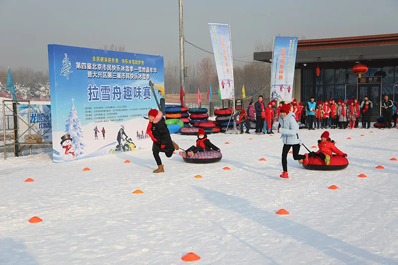 冬奧意外嬌客:哈士奇亂入越野滑雪賽道,全場觀眾笑翻