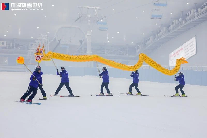 高山滑雪天后范恩冬奧夢碎：傷勢纏身下的傳奇生涯