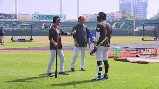 WBC 台灣隊備戰：林安可歸隊，徐若熙交流賽對決