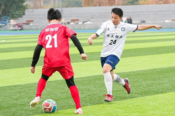 2025小學生足球賽熱烈開踢！773隊報名爭奪冠軍