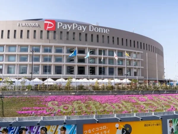 李多慧、林襄領軍！味全龍攜手旅行社推福岡巨蛋應援行程