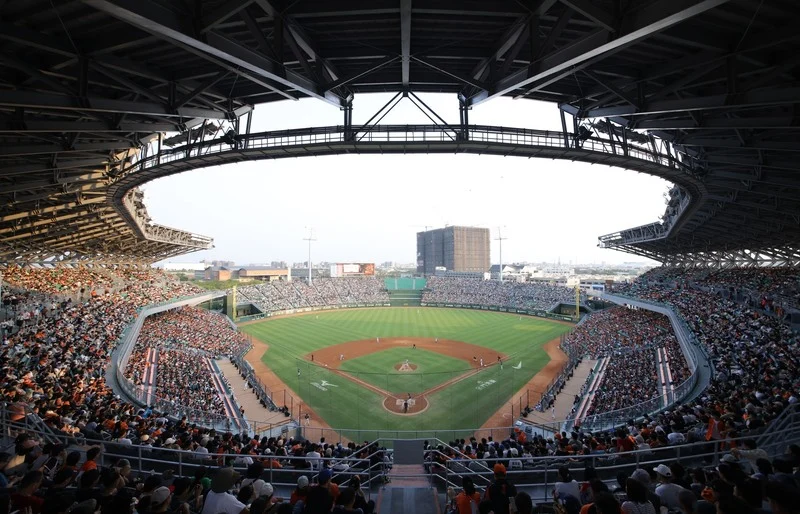 中職球場暴力事件頻傳：性別羞辱與掌摑事件引發關注，蔡其昌誓言強化球場管理