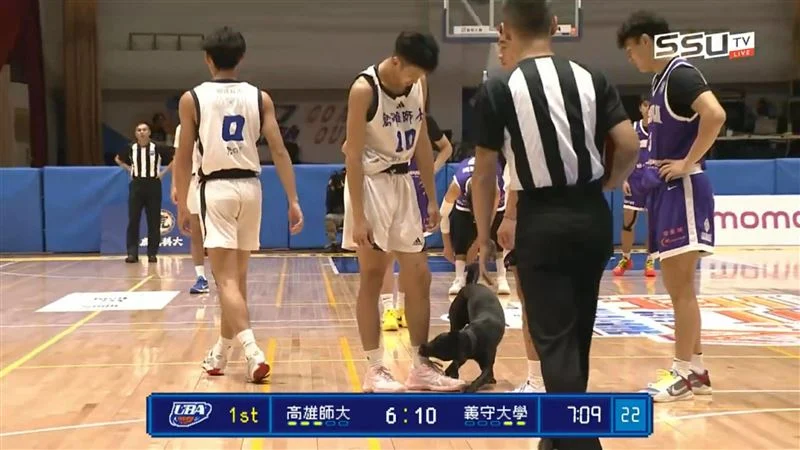 新北國王五週年慶典:奧帝引退儀式與球隊榮耀時刻