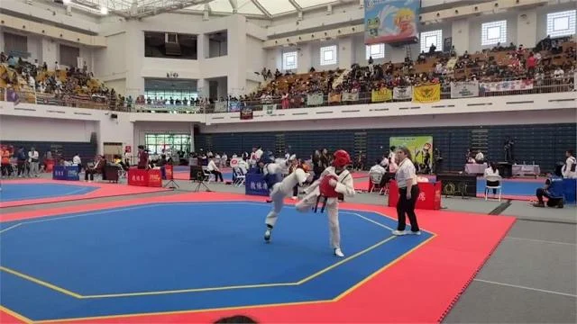 台灣跆拳道新星王婕菱勇奪亞錦賽金牌:教練的暖心支持與戰術分析